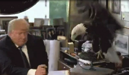 Tỷ phú Donald Trumph hốt hoảng né tránh đại bàng